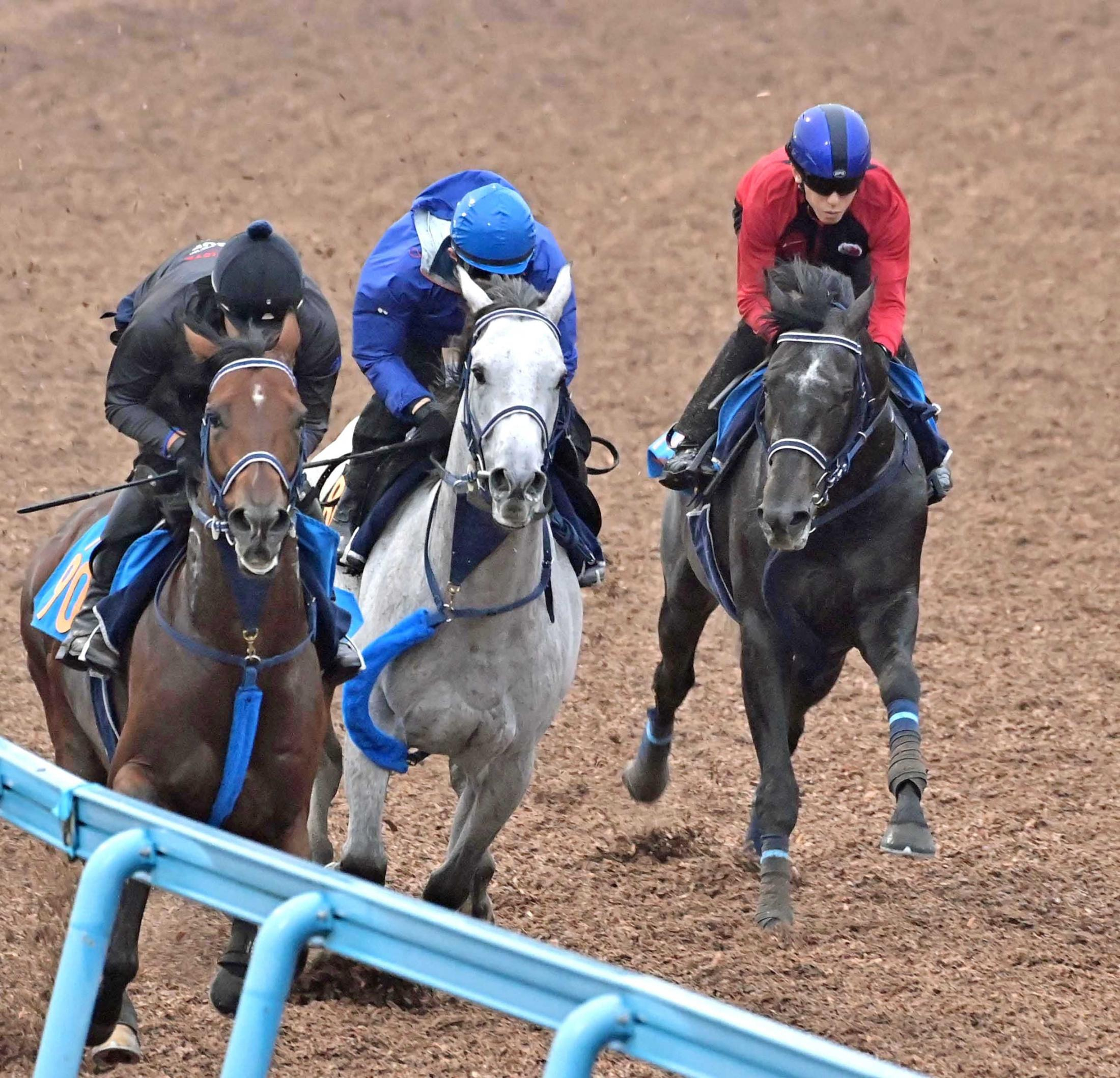 【毎日王冠】リアライズシリウス　美浦Ｗ３頭併せで軽々最先着　津村も好感触の力強さ「最後まで引っ張り切れないくらい」