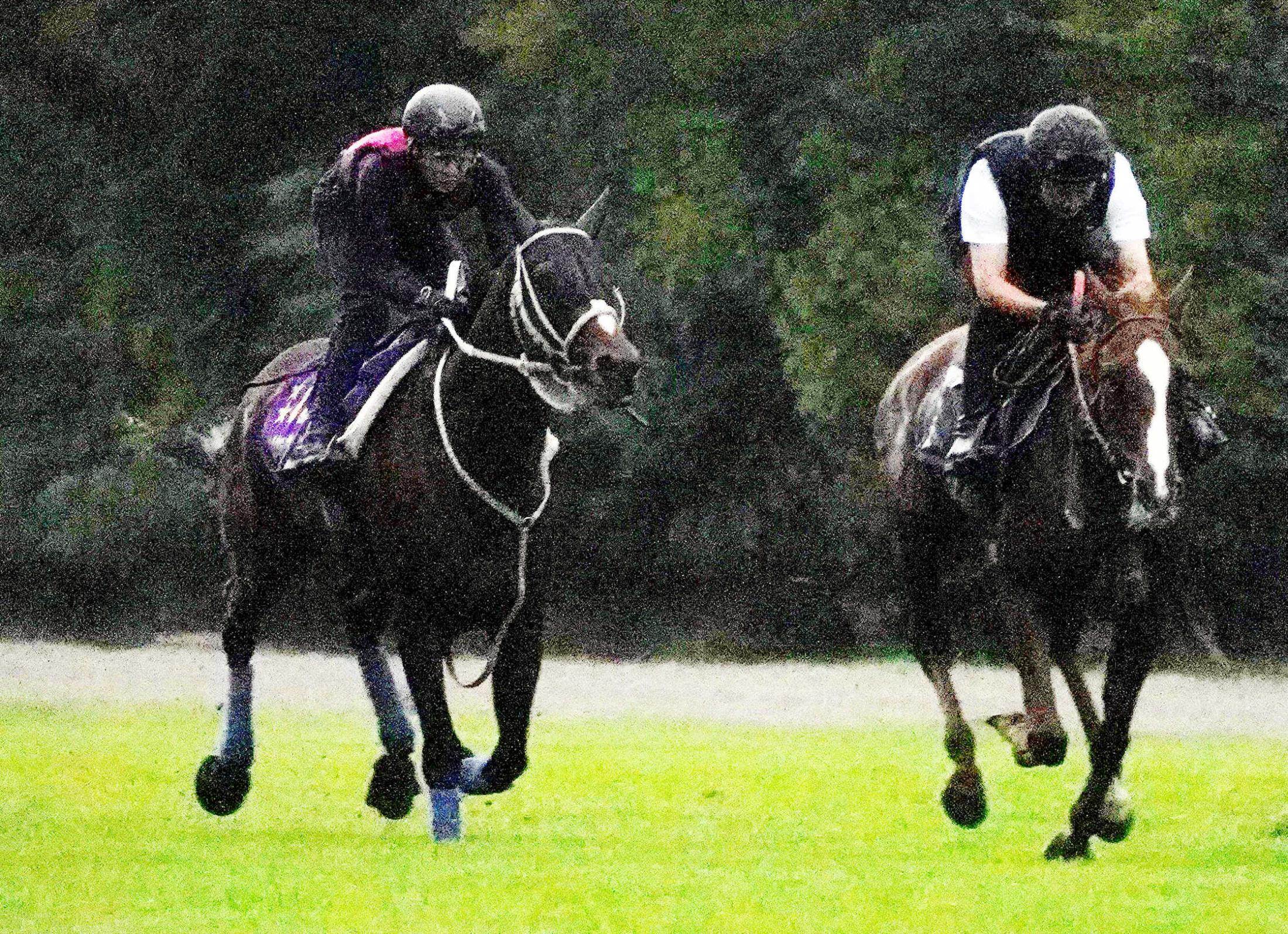 【凱旋門賞】メイショウタバル　動き軽快　武豊「戦闘モード入った」　石橋師狙い通りの上昇気配