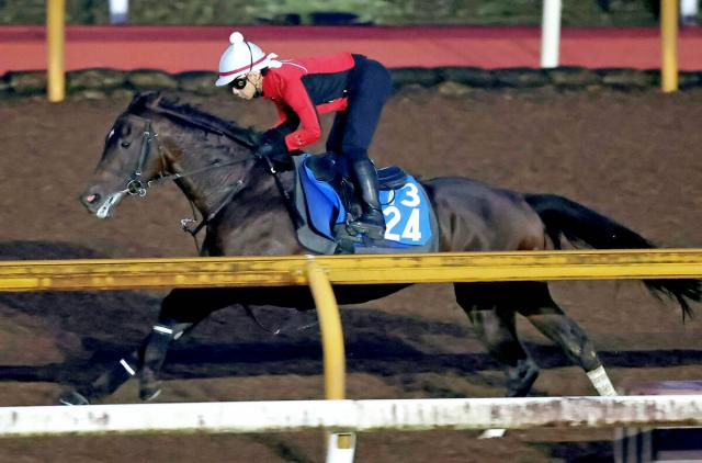 【京都大賞典】ダノンシーマ重賞初Vへ中内田調教師「距離に合った戦法でリズム良く走れるようになっているのは強みかな」