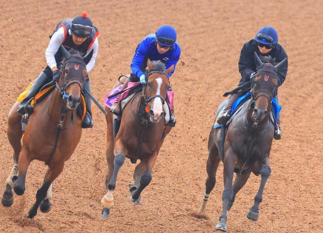 【毎日王冠】ライヒスアドラー　大人の走り　心身成長　鞍上佐々木「春に比べて落ち着き出てきた」