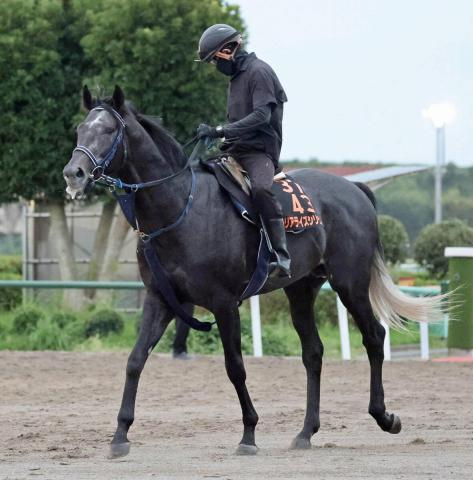 【毎日王冠】注目の3歳勢は内・外に分かれる　皐月賞2着リアライズシリウスは1枠2番　ライヒスアドラーは6番　アドマイヤクワッズ16番
