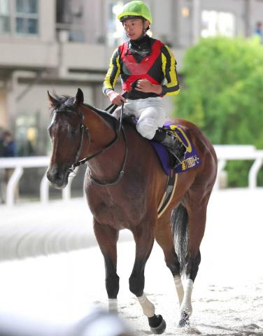 【ジャパンダートクラシック】シルバーレシオが新コンビの横山武史騎手と坂路で初コンタクト　「リズムが大事に…」