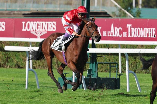 武豊騎手が仏サンクルー競馬場のリステッド競走で9着「思ったより馬場がやわらかかった」