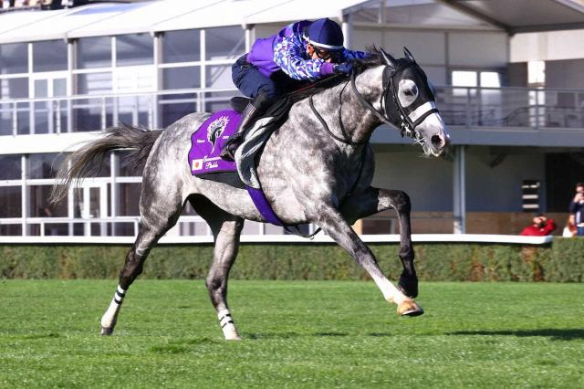 【凱旋門賞】メイショウタバル13番枠　アドマイヤテラ12番枠　C・デムーロ「追ってレースしやすい」