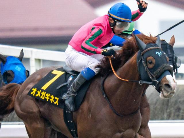 グリーンチャンネルCはストームキャット系が好相性 3歳馬にも注目