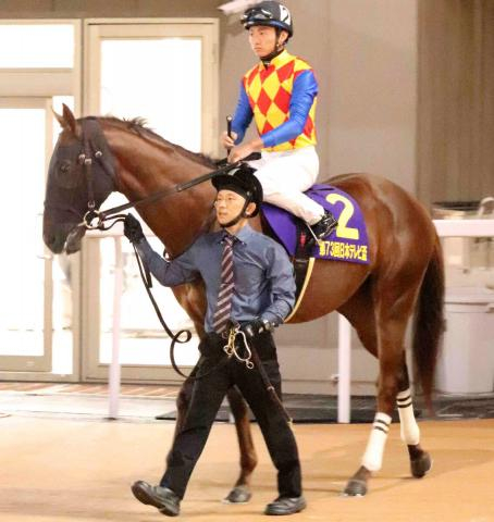 【注目馬動向・古馬】日本テレビ盃2着のテーオーマルコーニは浦和記念が目標　ドンインザムードは武蔵野Sで復帰