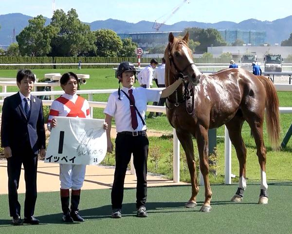 【京都2R】開幕週の芝レースはいきなりレコード　イッペイが逃げ切った!　浜中俊騎手「枠も内枠でしたし…」