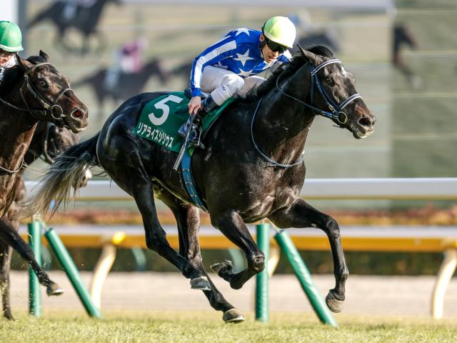 【今日の注目ポイント】毎日王冠と京都大賞典 夜には凱旋門賞