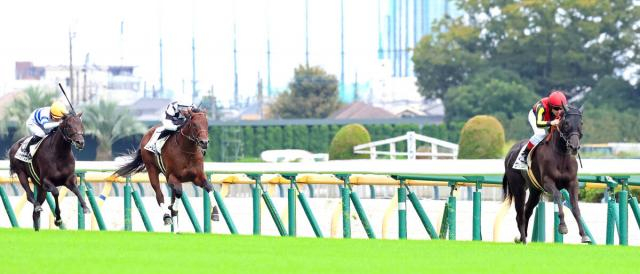 【東京5R・2歳新馬】ヴァルカモニカ7馬身差V!府中芝千八の2歳デビュー最速タイム更新にルメール騎手も「重賞レベル」
