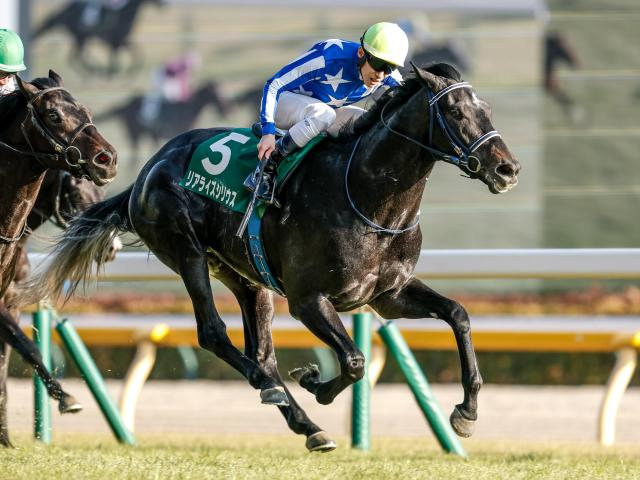 【毎日王冠予想】馬券圏内9割の1番人気馬の死角は？ 過去データから探るGII毎日王冠