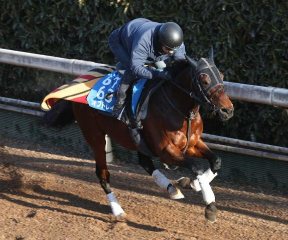 【スワンS展望】オフトレイル連覇狙う　馬場のいい京都の時計勝負は大歓迎