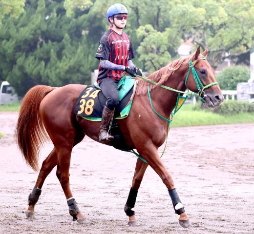 【サウジアラビアRC】フライトライン産駒の逸材デミアンで「結果出したい」斎藤誠調教師　息子の斎藤新とコンビ