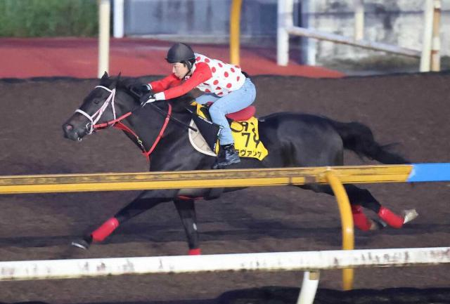 【アイルランドT】ラヴァンダ　重賞Vもう一丁!土屋助手「馬は完成されていると思う」