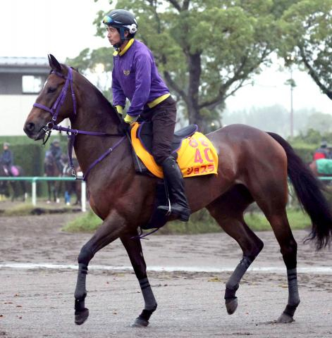 【アイルランドT】兄の活躍に負けない　ジョスラン、パワーアップで重賞2勝目だ