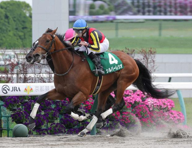 【大井11R・ジャパンダートクラシック】シルバーレシオ　不安なし