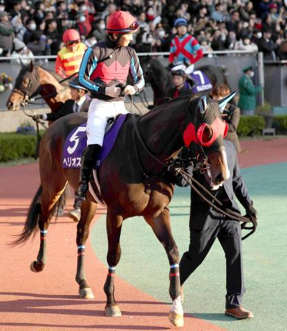 22年南部杯2着のヘリオスが10歳で死す　調教中に急性心不全を発症