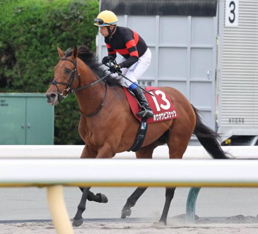 【注目馬動向】ホウオウビスケッツが天皇賞・秋に3年連続の出走へ　鞍上は引き続き岩田康誠騎手