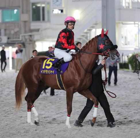 まさかの失速…ホリエモン愛馬のイッテラッシャイは大差の最下位16着　戸崎圭太騎手「向こう正面から息が…」JDクラシック
