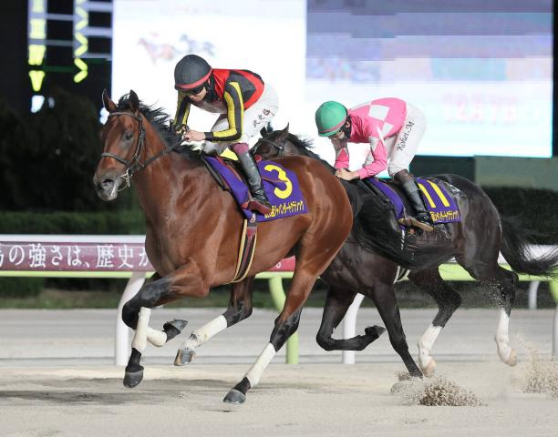 【JDクラシック】シルバーレシオが3歳ダート3冠最終戦を制覇　代打騎乗の横山武史騎手「勝ててすごくホッとしています」