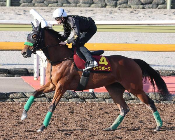 【秋華賞・1週前】桜花賞2着馬ギャラボーグは活気ある動き　杉山晴調教師「春先と比べても…」