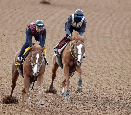 【秋華賞・1週前】サムシングスイートが軽快な動き　伊藤大師は根性を評価「馬にとって狭いところは…」