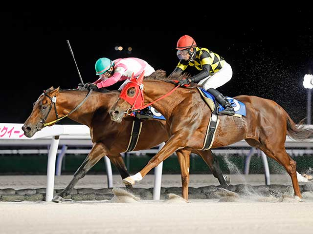 【静内軽種馬生産振興会特別】10歳馬ケイアイパープルがアタマ差の接戦を制す 道営記念の優先出走権を獲得