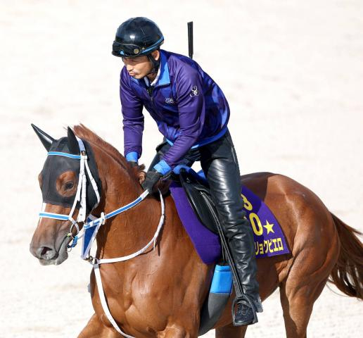 【注目馬動向】ジュウリョクピエロは完全に体調回復　エリザベス女王杯へ寺島調教師「聖奈には1週前から乗ってもらいます」