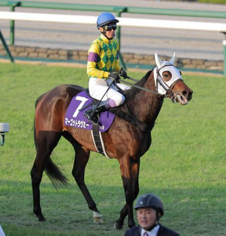 【10日の注目・京都10R】2歳レコードホルダーが登場　骨折明け初戦から好勝負