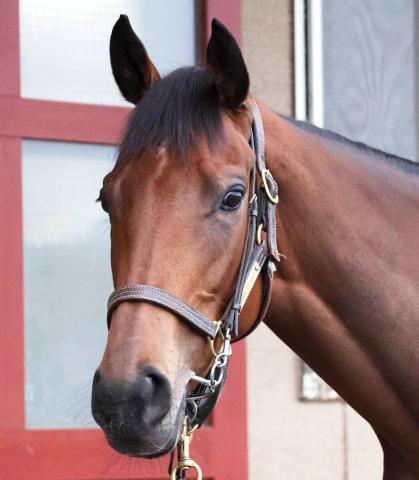 【注目馬動向】レガレイラは天皇賞・秋へ　エリザベス女王杯の連覇ではなく、左回りに照準を定める