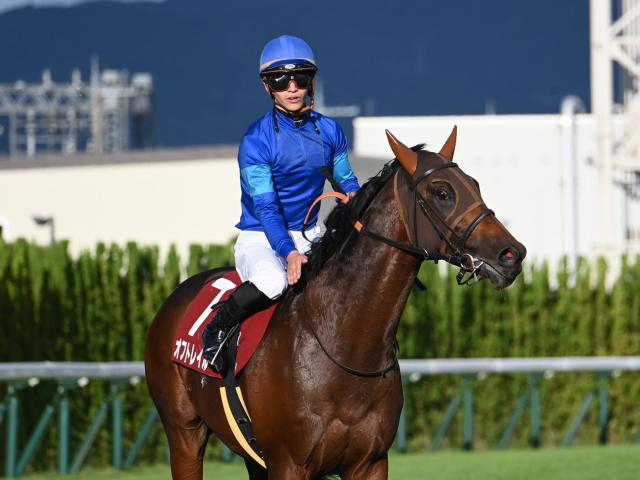 【スワンS枠順確定】オフトレイルは5枠9番、エリカエクスプレスは8枠18番