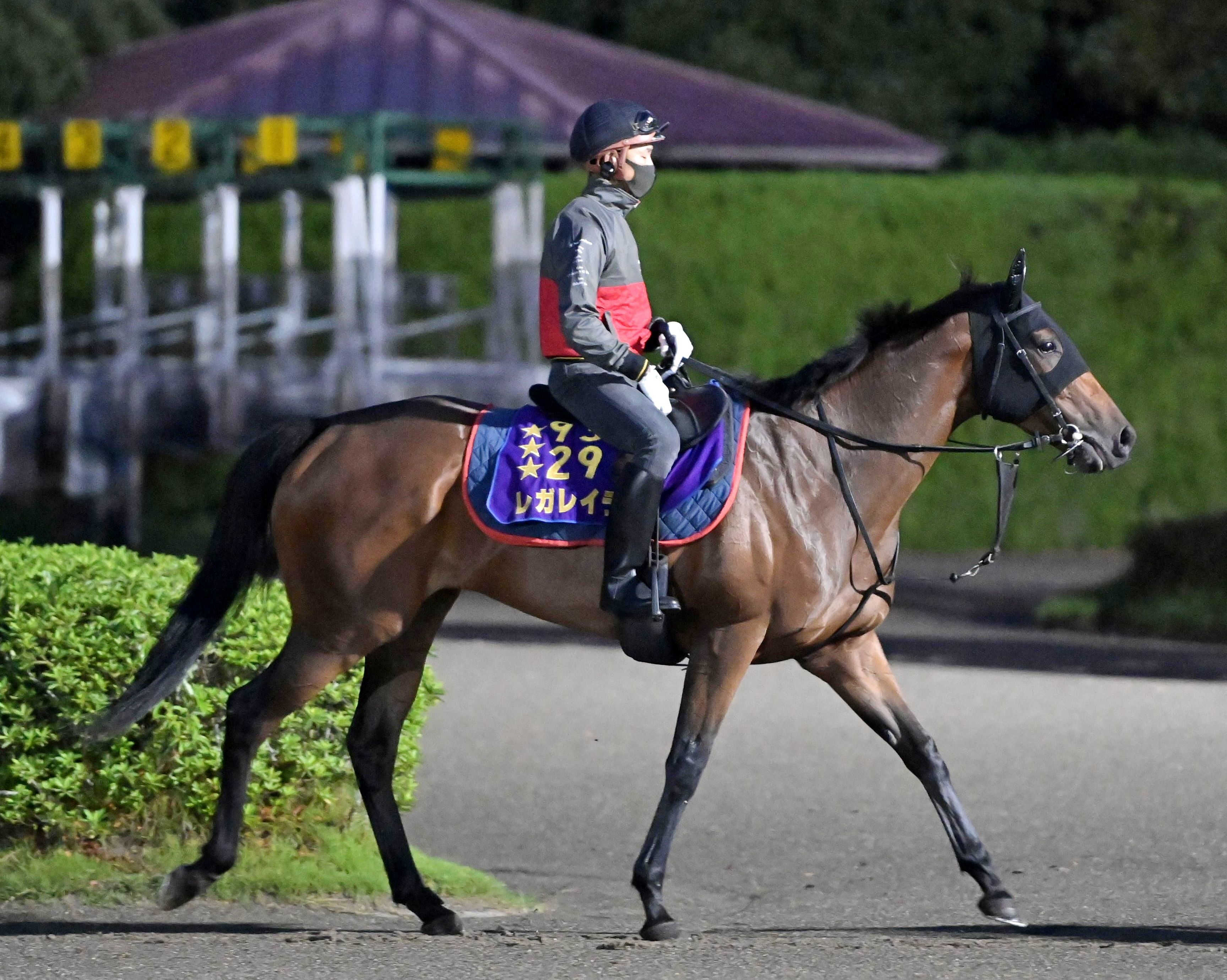 【有力古馬次走報】Ｇ１・３勝馬レガレイラは天皇賞・秋へ　新潟記念覇者ゾロアストロは天皇賞・秋を見送り　ローシャムパークは一気に１マイル延長でステイヤーズＳへ