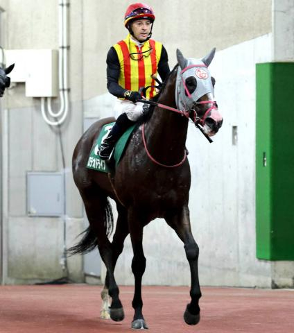 【注目馬動向】NHKマイルCの覇者ロデオドライブはマイルCSへ向かう
