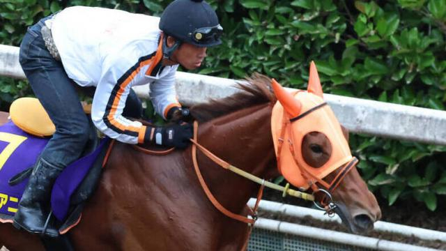 【注目馬動向】桜花賞馬スターアニスはマイルCSに参戦　2戦2勝のマイルで巻き返し狙う