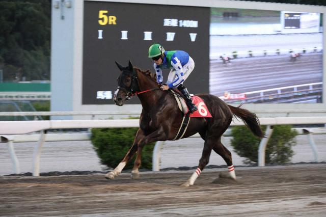 【高知競馬2歳戦線】潮菊特別はリケアボレロが圧勝　25日は世代最初の重賞「ネクストスター高知」