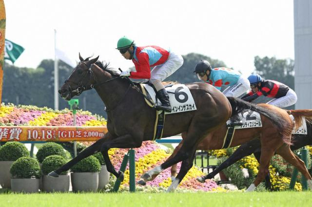 【京都新馬戦】レインインザスカイ　豪快に差し切る　田中克師「いい決め手を見せてくれた」