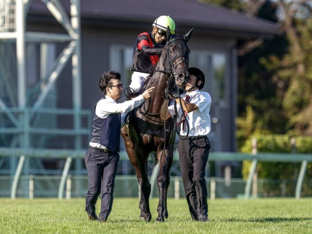 【先週のJRA抹消馬】紫苑S覇者クリスマスパレード、障害重賞2勝のサンデイビスなど