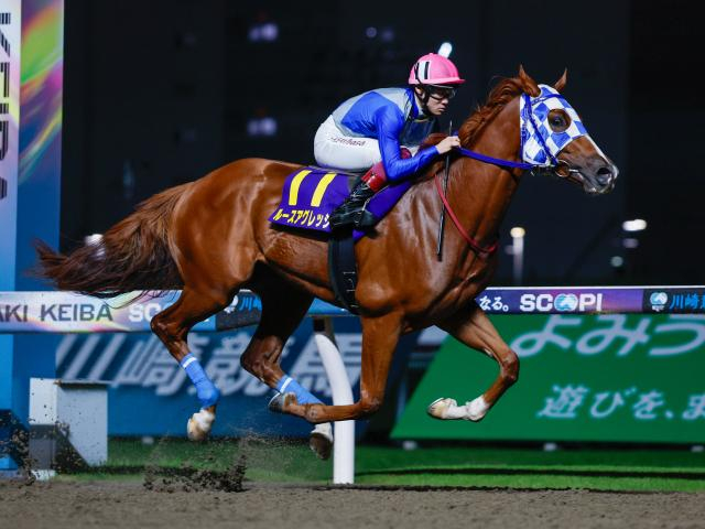 【川崎・鎌倉記念注目馬】来年のダートクラシックを占う出世レース 2歳素質馬が川崎に集結