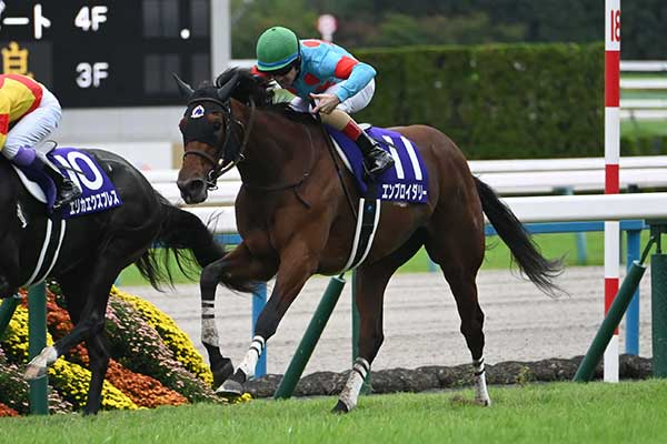 【秋華賞予想】京都芝は異例の超高速馬場