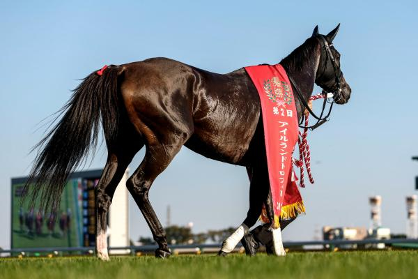 【アイルランドT回顧】ほとんどの馬に不利は無く東京らしい各馬の能力が問われたレース