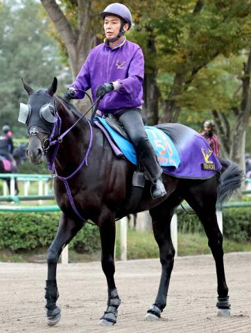 【富士S】重賞3勝馬トロヴァトーレ逆襲へ　安田記念9着も鹿戸調教師「流れに乗れていれば違った結果だった」