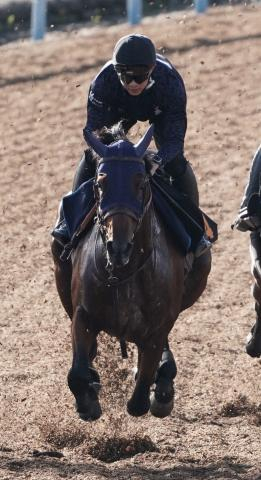 【東京新馬戦】サトノエスパーダ　ベール脱ぐ欧州名門の血　田中博師「成長が楽しみ」