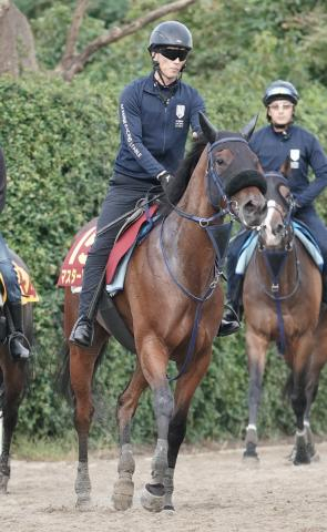 【秋華賞】マスターソアラ　思い通りの調整　蛯名正師「馬体重は減っていないし、むしろプラス」