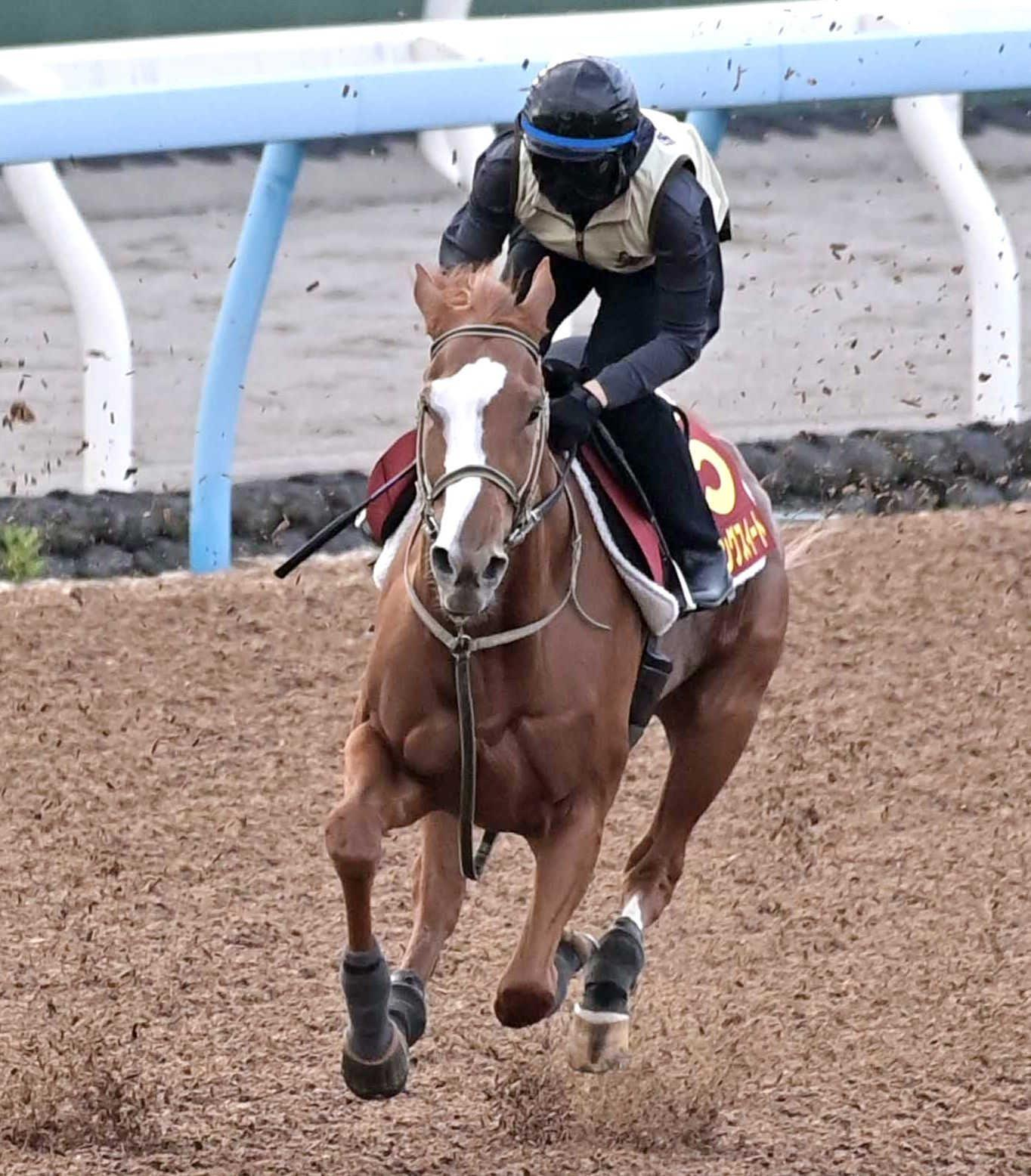 【秋華賞】サムシングスイート　待望の初Ｇ１でガッツ見せる　５００キロ近い馬体で２戦連続イン突き　カイ食いも輸送も心配なし
