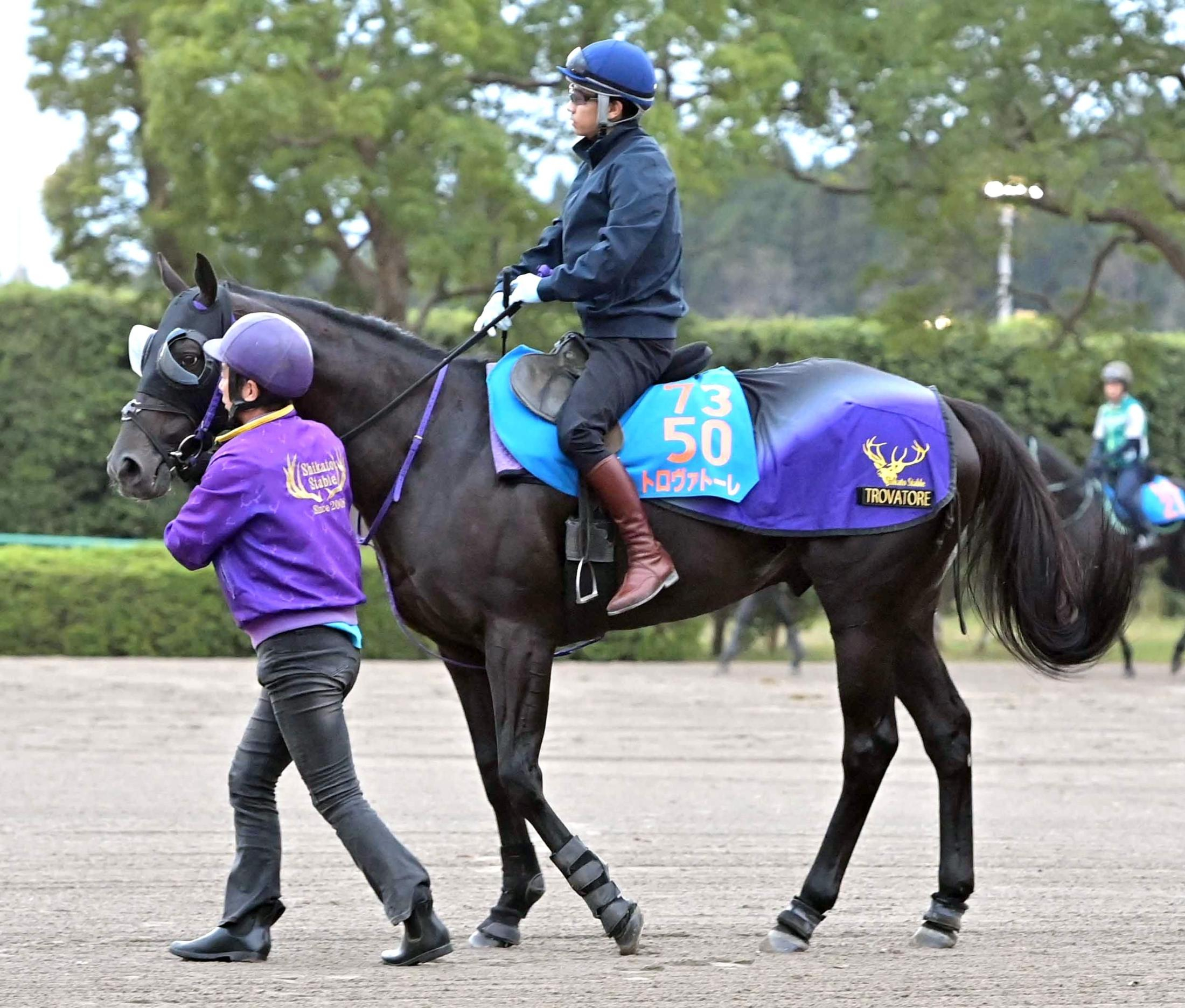 【富士Ｓ】トロヴァトーレ　仕上がり万全　美浦坂路を軽快　鹿戸師「ちょうどいい体に仕上がっています」