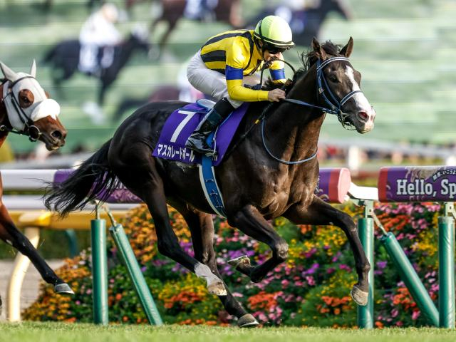 【天皇賞(秋)想定】マスカレードボール、クロワデュノールなど17頭