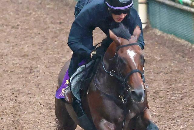 【富士S】半年休養明けでもアドマイヤズームは元気一杯　陣営「いい状態で来ているなと思います」