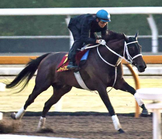 【秋華賞】スマートプリエールは馬なりで鋭伸　初コンタクトの幸英明騎手「やっぱりいい馬だなと感じました」