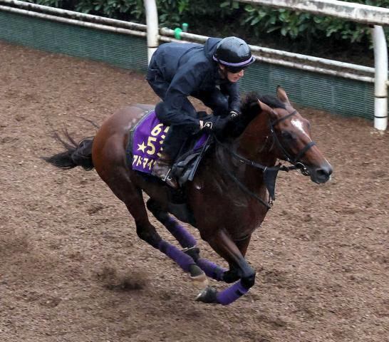 【富士S】アドマイヤズーム　久々も素軽さ十分　坂路単走ラスト1F11秒9「いい状態」