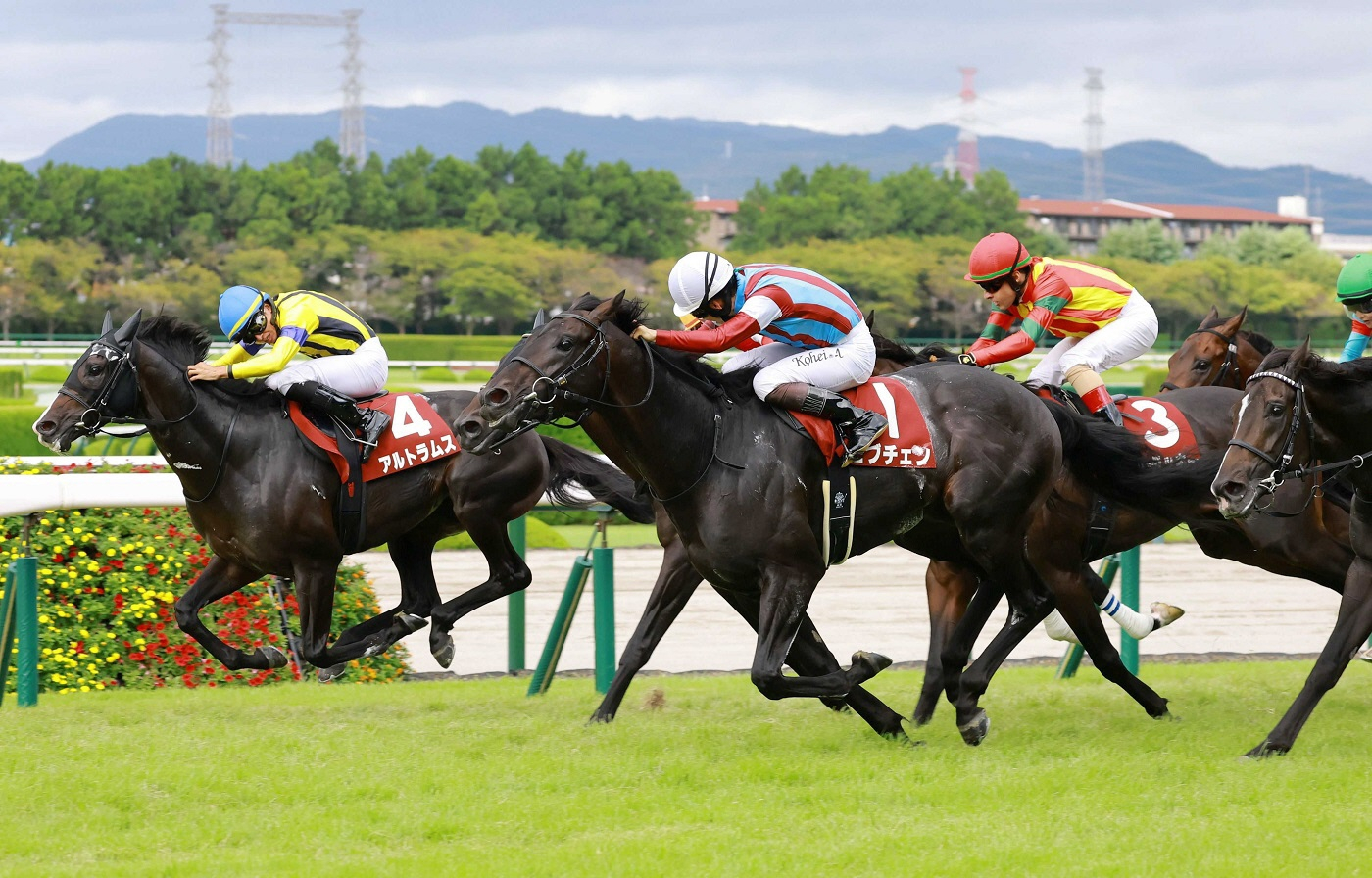 アルトラムスが菊花賞を回避　左後肢ハ行のため