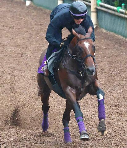 【富士Sまとめ・調教後談話】アドマイヤズームはG2連勝へ納得の仕上がり　重賞4勝目のかかるトロヴァトーレ陣営などのジャッジは…